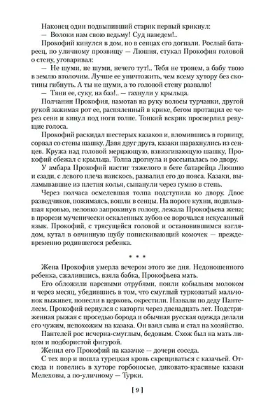 Тихий Дон - фото 14