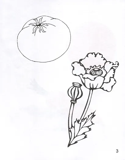 Какие цвета я знаю - фото 4