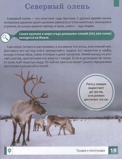 Природа России: 1000 фактов. 100 изображений - фото 4
