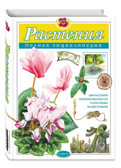 Растения. Полная энциклопедия: Мир растений в интересных фактах и красочных иллюстрациях - фото 3