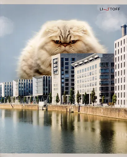 Тетрадь 48л лин. "Большие коты" мел.картон, поля, ассорти - фото 3