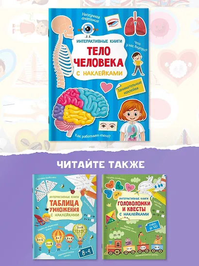 Тело человека - фото 6