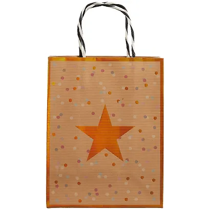 Пакет А5 23*18*10 "Asterisk" нейтр., бум.мат.ламинат - фото 2