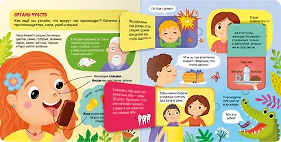 Книжка с окошками. Тело человека - фото 3