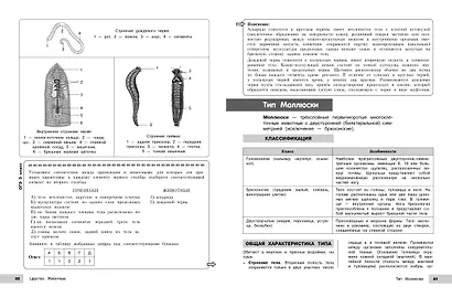 Биология - фото 13