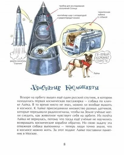 Летающие звезды - фото 2