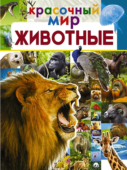 Животные - фото 1