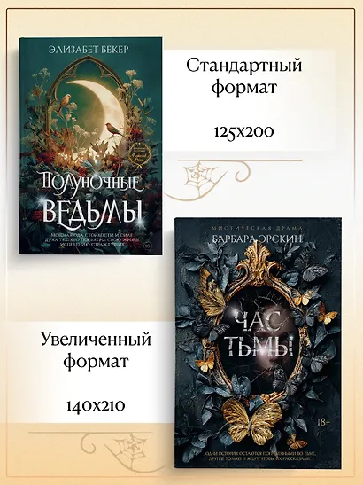 Полуночные ведьмы - фото 9