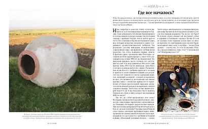 История вина в 100 бутылках. От Бахуса до Бордо и дальше - фото 6