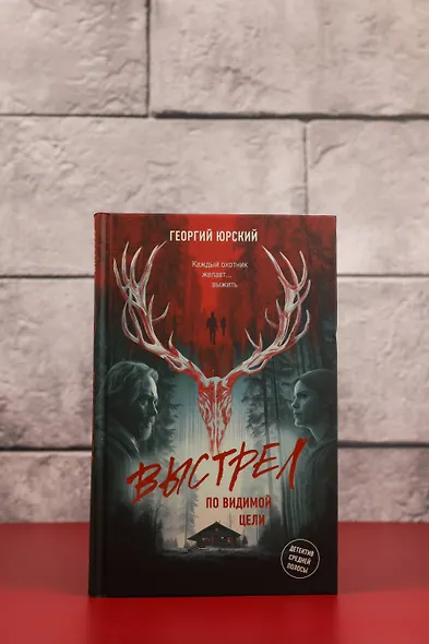 Выстрел по видимой цели - фото 6