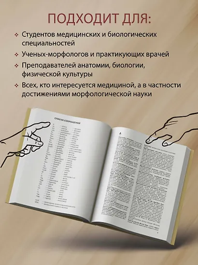 Анатомия человека.Терминологический словарь - фото 6