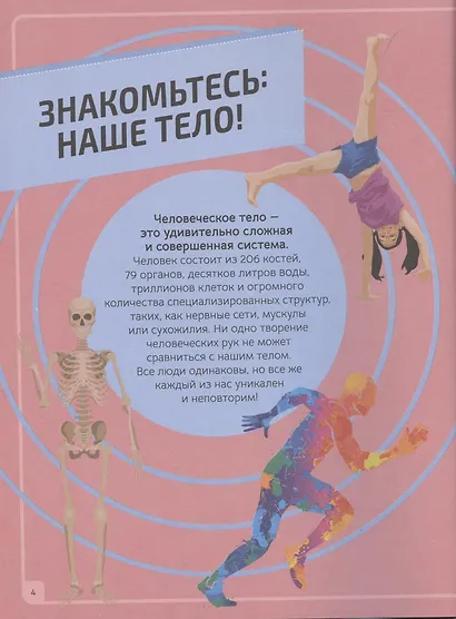 Тело человека. Инфографика - фото 3