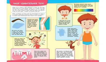 Тело человека. Моя первая энциклопедия с наклейками - фото 3