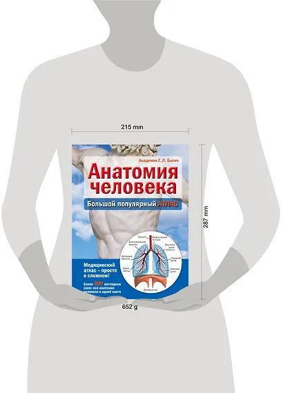 Анатомия человека: большой популярный атлас - фото 7