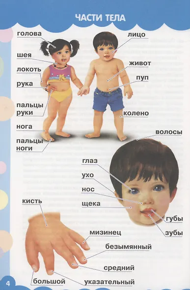 Мои первые слова в картинках - фото 4