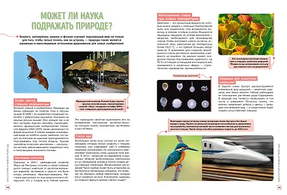 Школьная энциклопедия. 50 неразгаданных загадок науки - фото 8