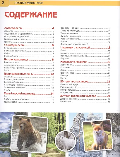 Лесные животные. Энциклопедия с развивающими заданиями - фото 2
