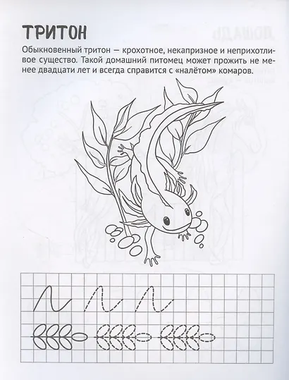 Готовим руку к письму. Раскраска с прописями. Домашние питомцы. Для детей 5-7 лет - фото 3