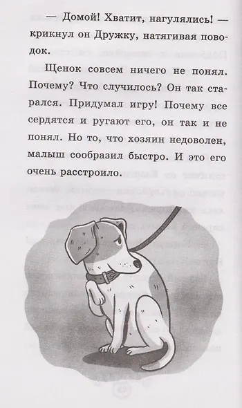 Щенок Дружок ищет друзей - фото 5