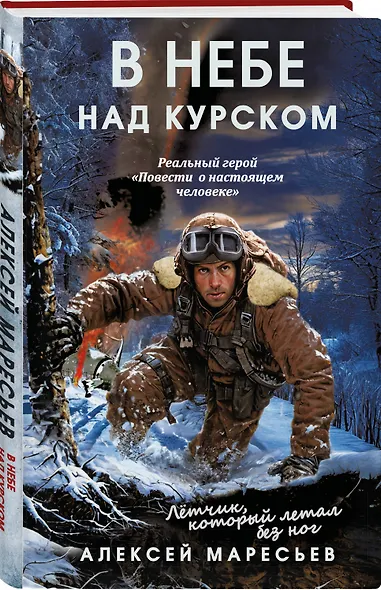 В небе над Курском. Реальный герой "Повести о настоящем человеке" - фото 3