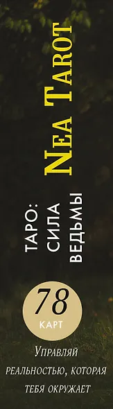 Таро: Сила Ведьмы. Управляй реальностью, которая тебя окружает - фото 11