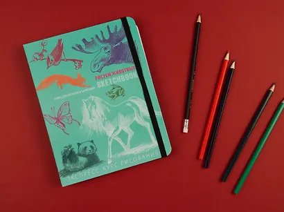 SketchBook: Визуальный экспресс-курс по рисованию Животные (мята) (Эксмо) - фото 4