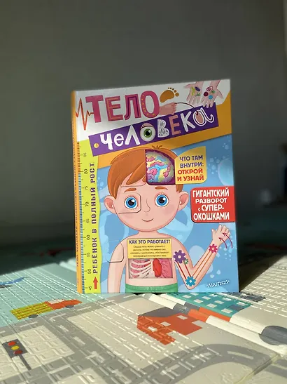 Тело человека - фото 9