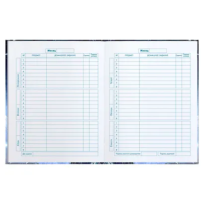 Дневник для младших классов Феникс+, "Лунный самурай" - фото 7