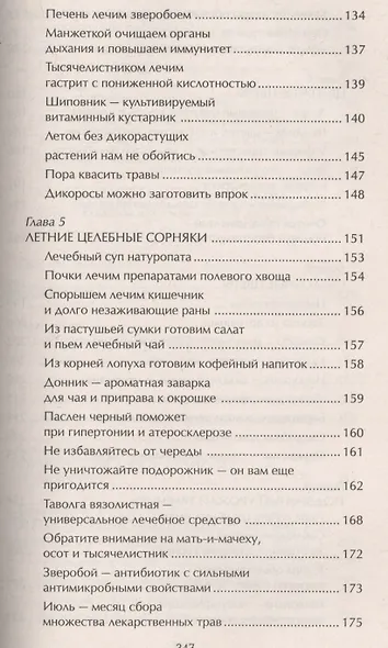 Наши дачные лекари - живые витамины. Овощные и дикорастущие растения - фото 5
