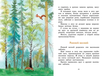 Год в лесу. Рассказы о природе - фото 10