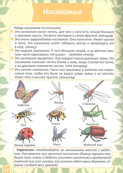 Окружающий мир (4-5 лет) - фото 5