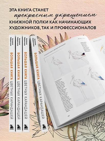 Большая книга цветных карандашей.Полное руководство по работе с нуля - фото 7