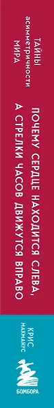 Почему сердце находится слева, а стрелки часов движутся вправо. Тайны асимметричности мира - фото 10