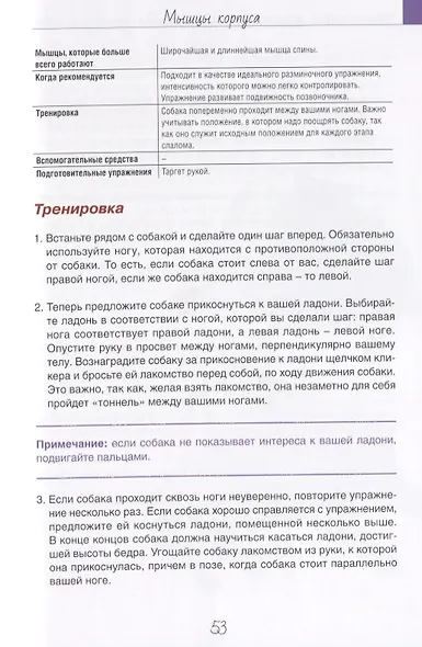 Гимнастрикс. Целенаправленная тренировка мыщц для собак. 42 упражнения - фото 7