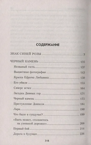 Черный камень - фото 2