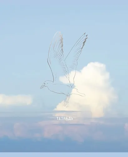 Тетрадь 48л кл. "Безмятежность" мел.картон, тиснение мат.фольгой Серебро, ассорти - фото 4