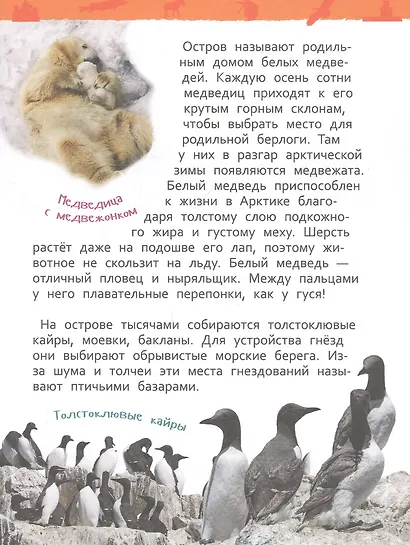 Чудеса России. Энциклопедия для детского сада - фото 6