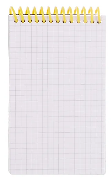 Блокнот в клетку 90*150 "Black", 80 листов, спираль, резинка, Schiller - фото 6