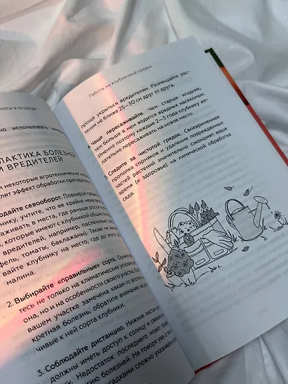 Сад, огород, цветник. От первого росточка до последнего листочка - фото 11