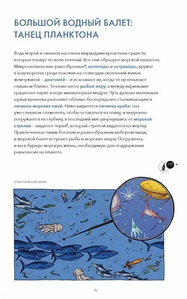 Живой мир под микроскопом - фото 4