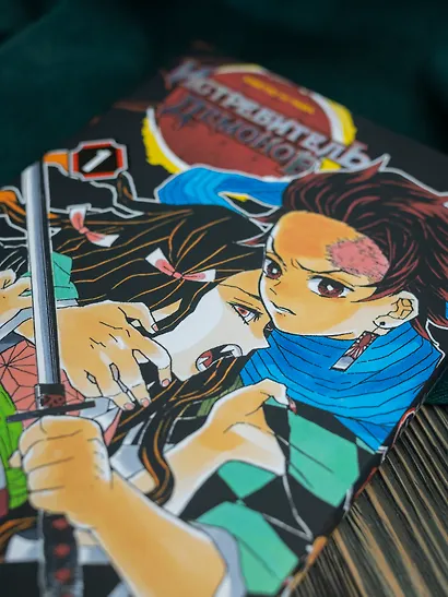Истребитель демонов. Том 1 (Клинок, рассекающий демонов / Demon Slayer: Kimetsu no Yaiba). Манга - фото 8