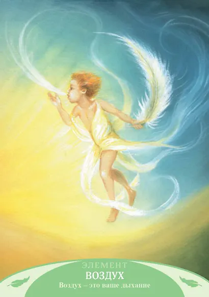 Оракул жизненной силы. Набор карт шаманской практики - фото 2