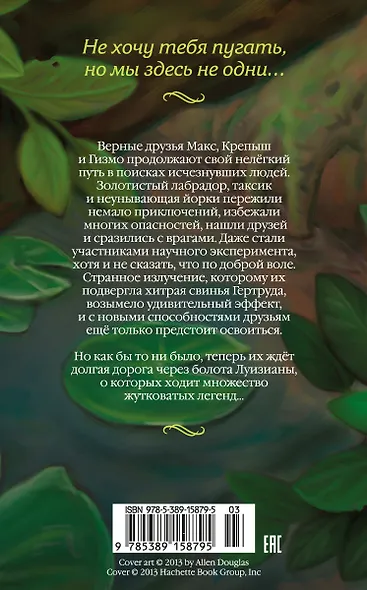 Верные. Книга 3. Дорога чудес и невзгод - фото 2