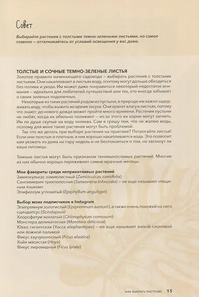 Норвежский сад. Красивые и выносливые растения для городской квартиры - фото 8