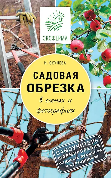 Садовая обрезка в схемах и фотографиях - фото 1