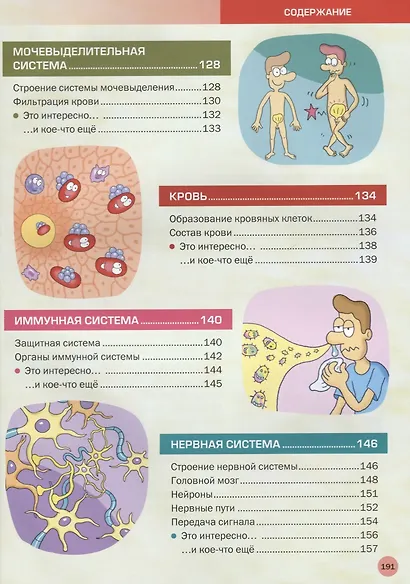 Большая иллюстрированная энциклопедия. Все о теле человека - фото 5