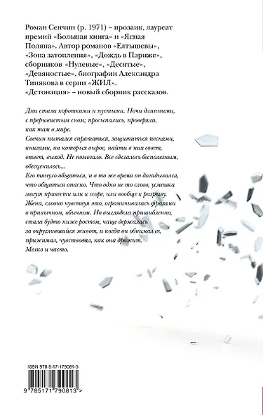 Детонация - фото 2