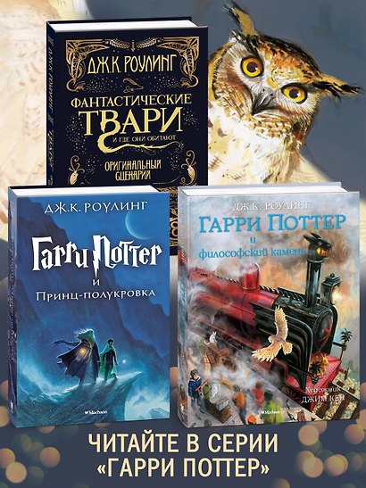 Гарри Поттер и Принц-полукровка (Слизерин) - фото 6