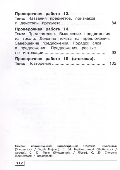 Русский язык. 4 класс. Проверочные работы. Учебное пособие (для обучающихся с интеллектуальными нарушениями) - фото 4