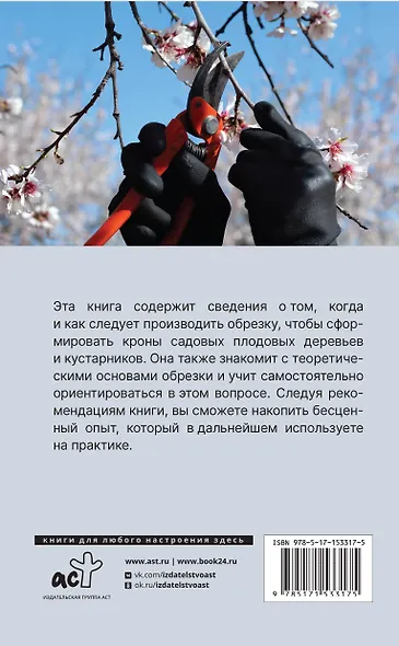 Обрезка плодовых деревьев, кустарников. Правила и советы для начинающих - фото 2